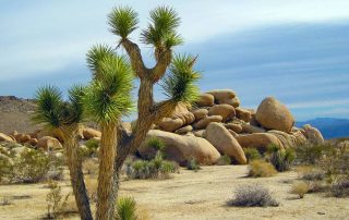 National Park USA