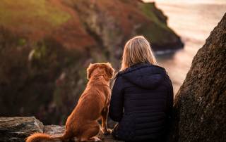 Viaggiare con gli Animali Domestici: