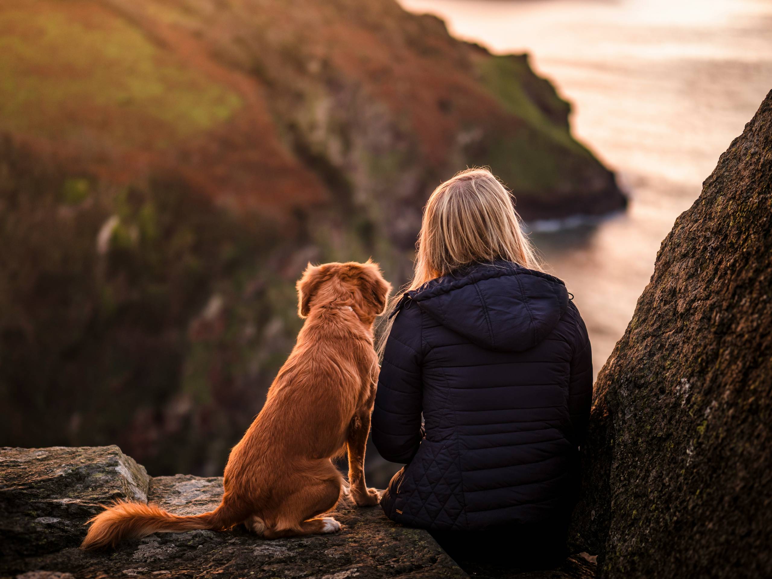 Viaggiare con gli Animali Domestici: